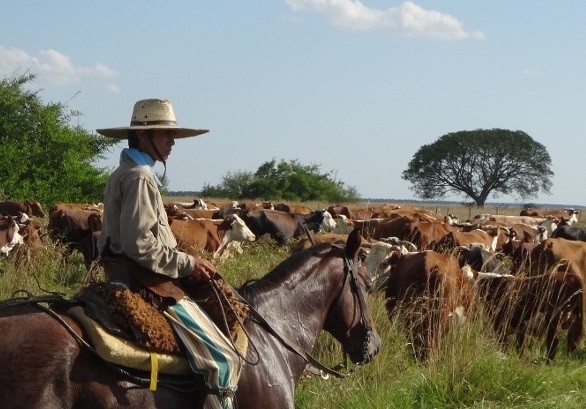 Gaucho-Argentinien-Conexten